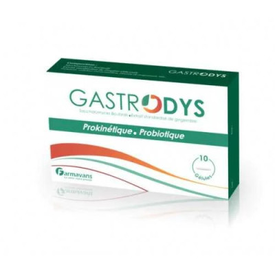 FARMAVANS GASTRODYS, 10 Gélules