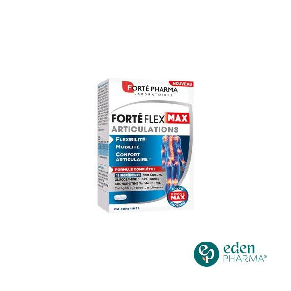 FORTE PHARMA FORTE FLEX MAX ARTICULATIONS 120CPS