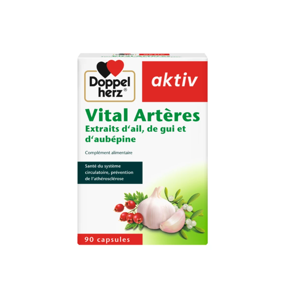 AKTIV VITAL ARTERES 90 GELULES