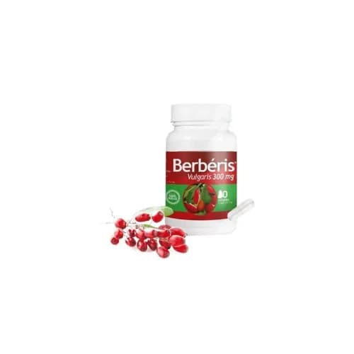 Berberis Vulgaris 300 mg 60 Gelules