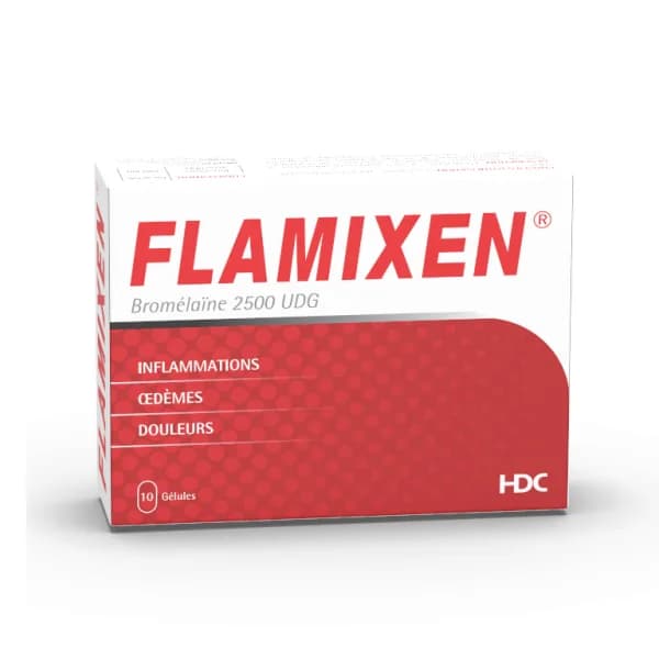 Flamixen Gelules Bt 10