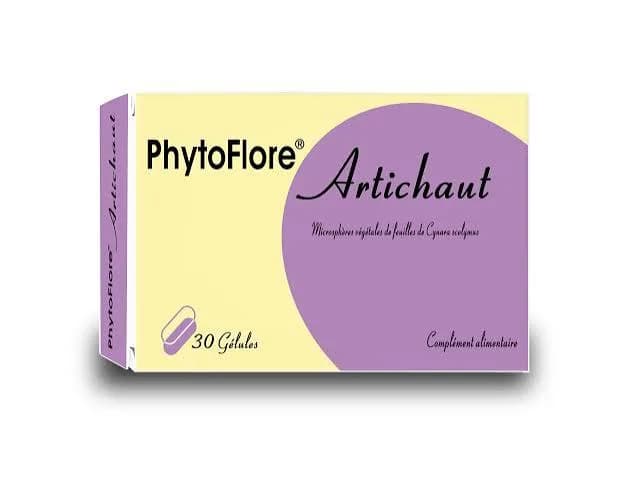 ARRAZI PHYTO-F ARTICHAUT B30C