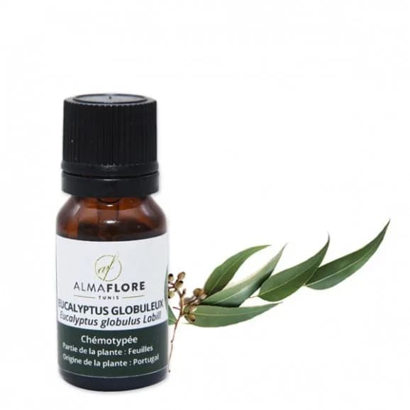 Almaflore Huile Essentielle de Eucalyptus Globuleux 10 ml