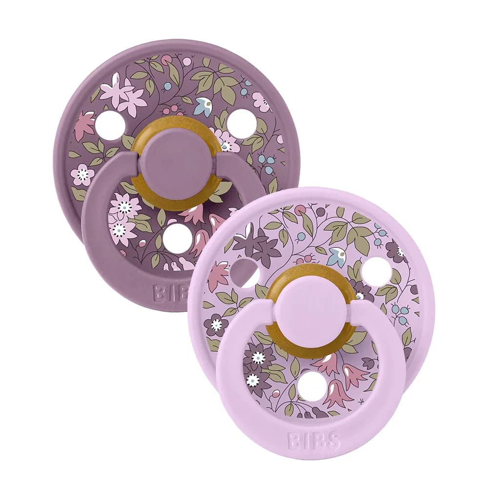 Bibs 02 Sucettes Colour Pacifier Chamomile Lawn - Violet Sky Mix 2age